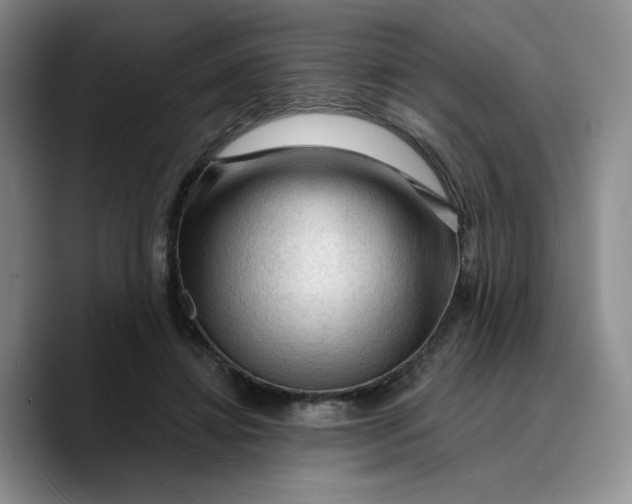 X0000089680452200707201703