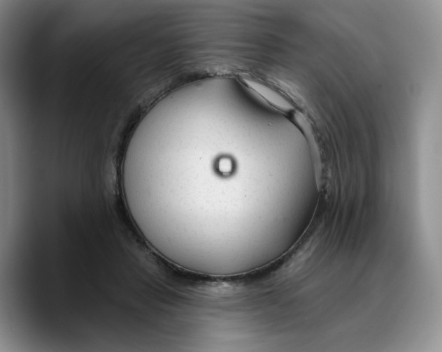 X0000089680453200707201703