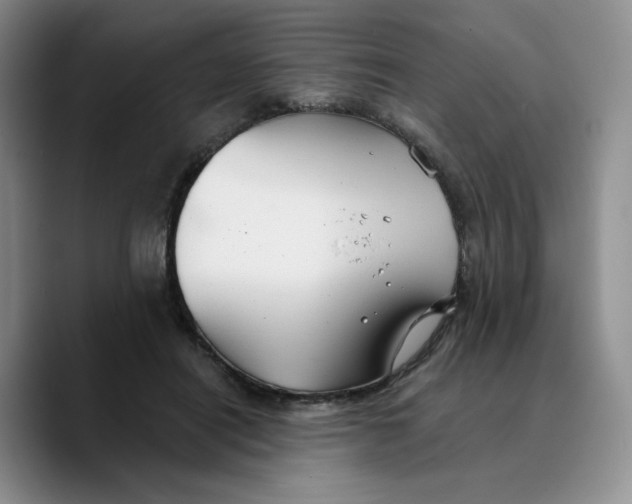 X0000089680454200707201703