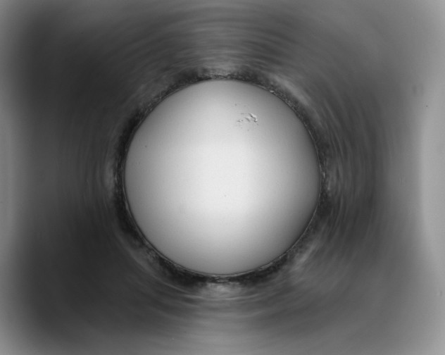 X0000089680455200707201703