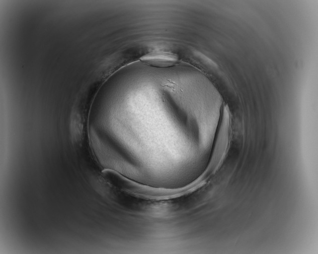 X0000089680456200707201703