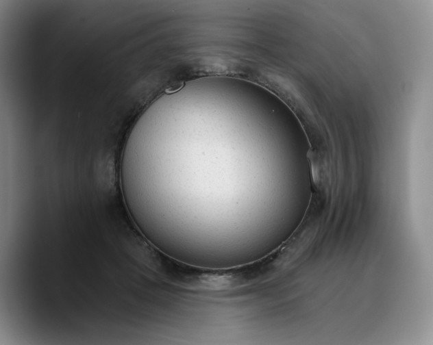 X0000089680457200707201703