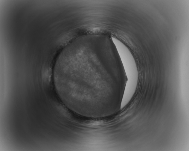 X0000089680458200707201703