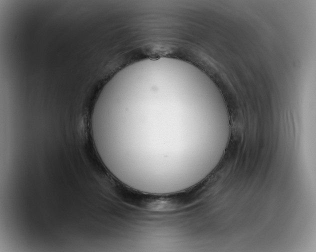 X0000089680460200707201703