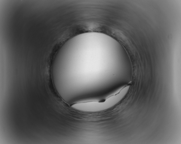 X0000089680461200707201703
