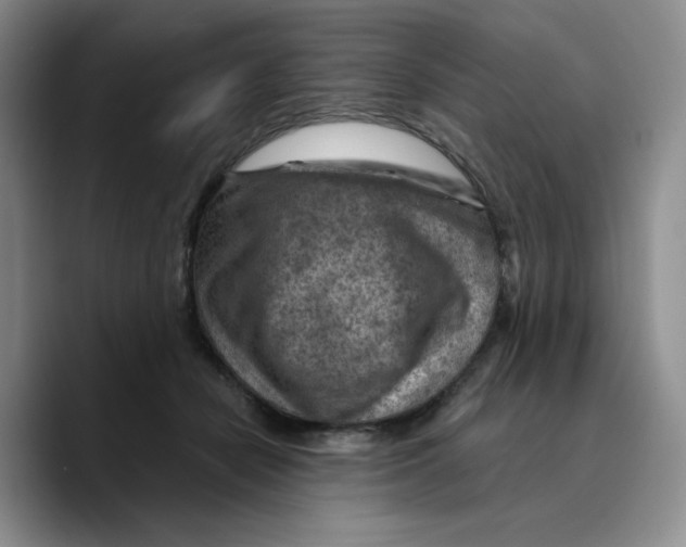 X0000089680462200707201703