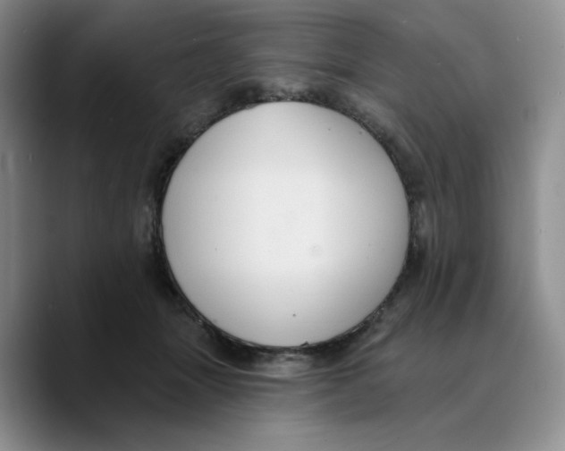 X0000089680463200707201703