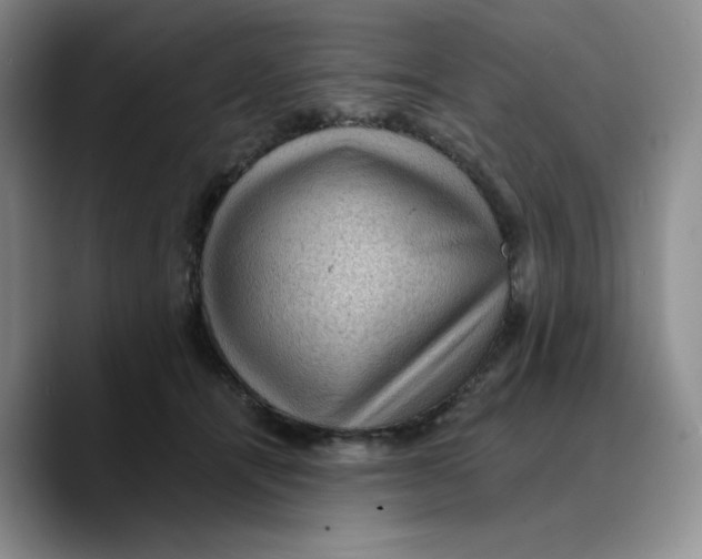 X0000089680464200707201703