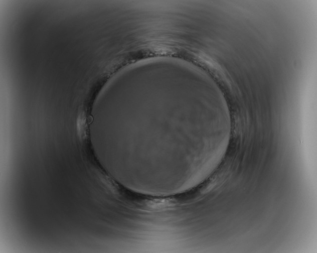 X0000089680465200707201703