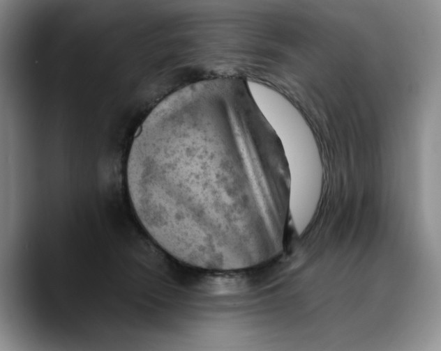 X0000089680466200707201703