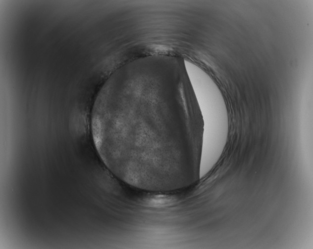 X0000089680467200707201703