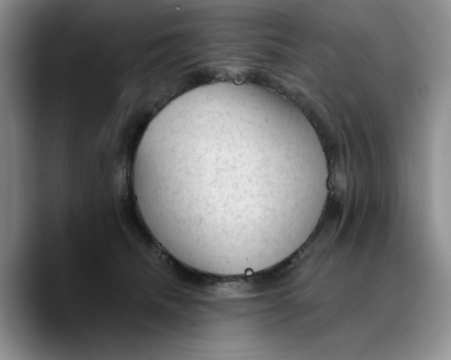 X0000089680468200707201703