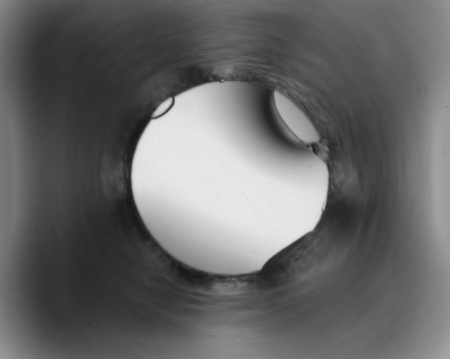 X0000089680470200707201703