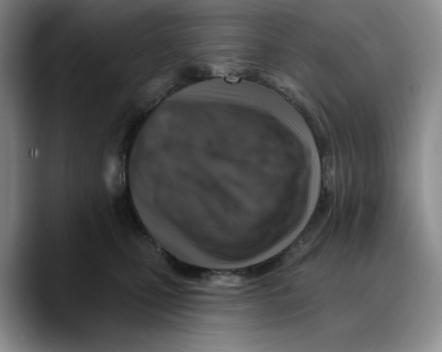 X0000089680471200707201703