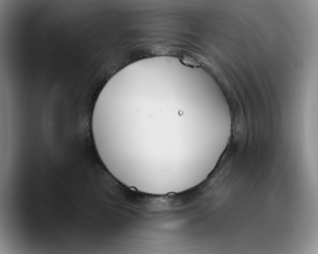 X0000089680473200707201703