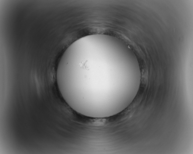 X0000089680474200707201703