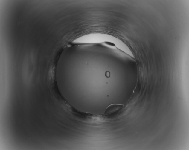 X0000089680475200707201703