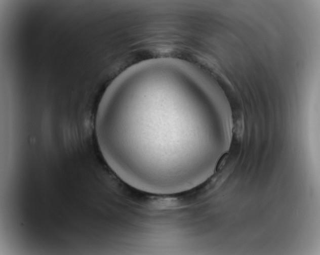X0000089680476200707201703