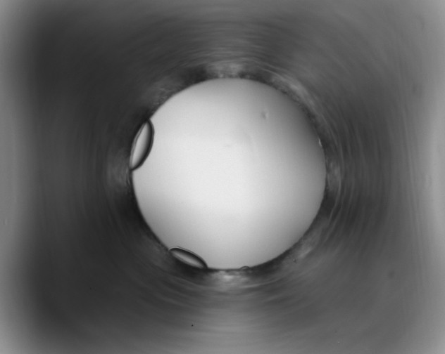 X0000089680477200707201703