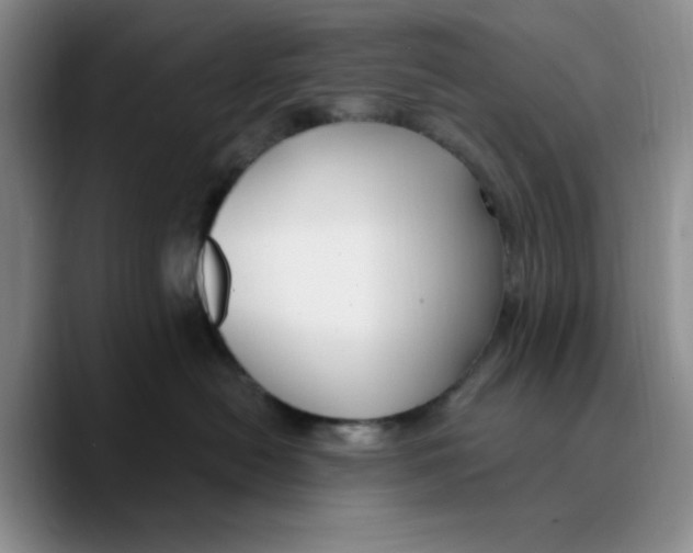 X0000089680478200707201703
