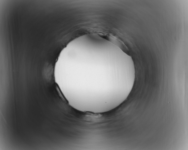 X0000089680480200707201703
