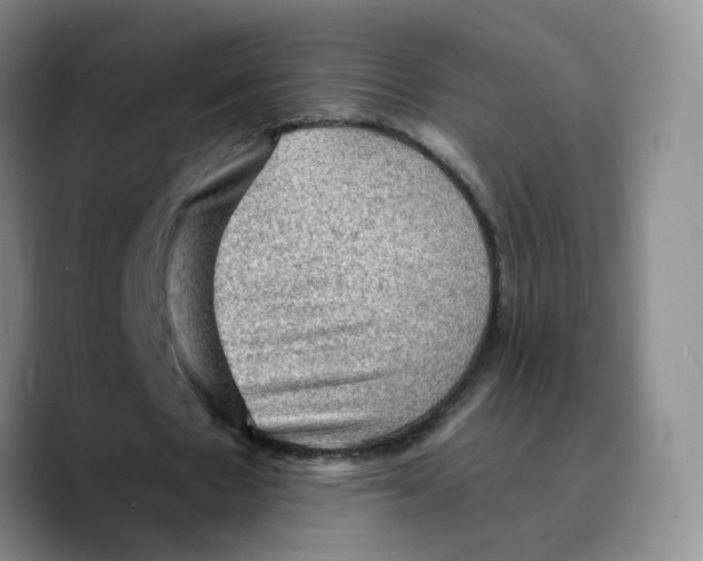 X0000089680481200707201703