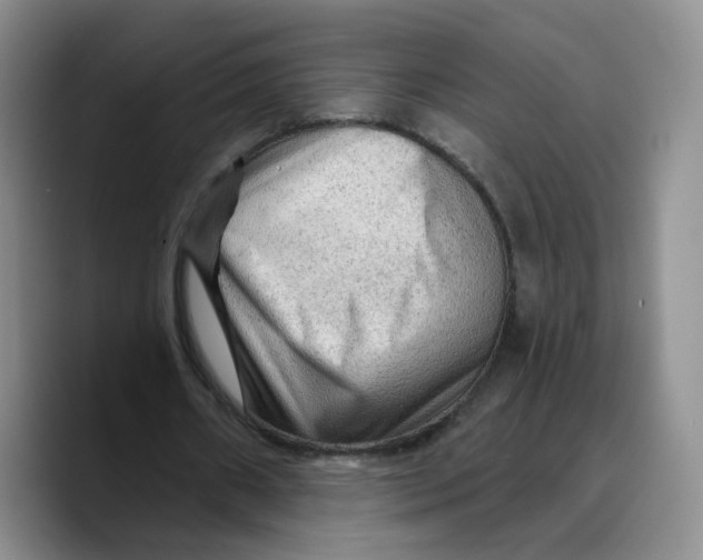 X0000089680482200707201703