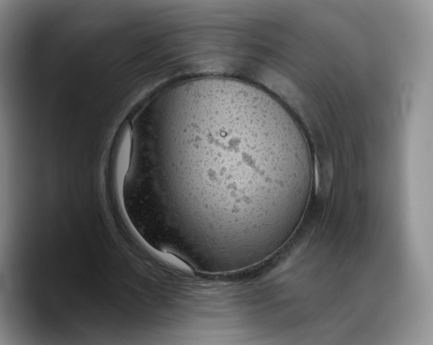 X0000089680483200707201703