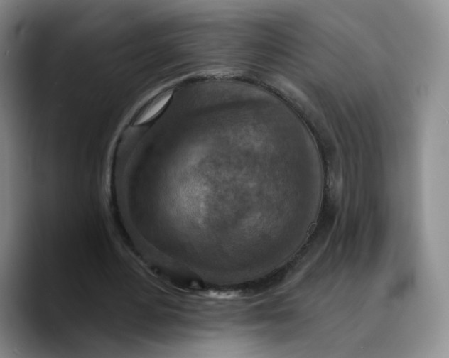 X0000089680484200707201703