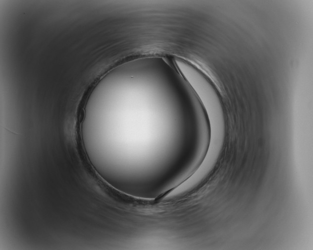 X0000089680485200707201703