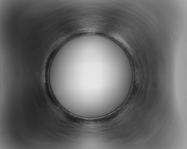 X0000089680486200707201703