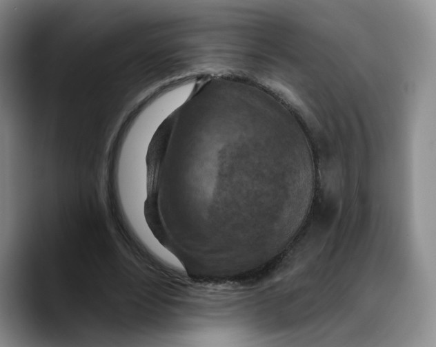 X0000089680488200707201703