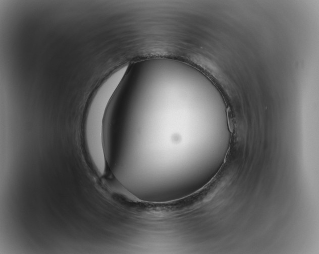 X0000089680489200707201703