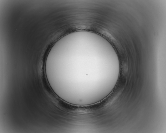 X0000089680490200707201703