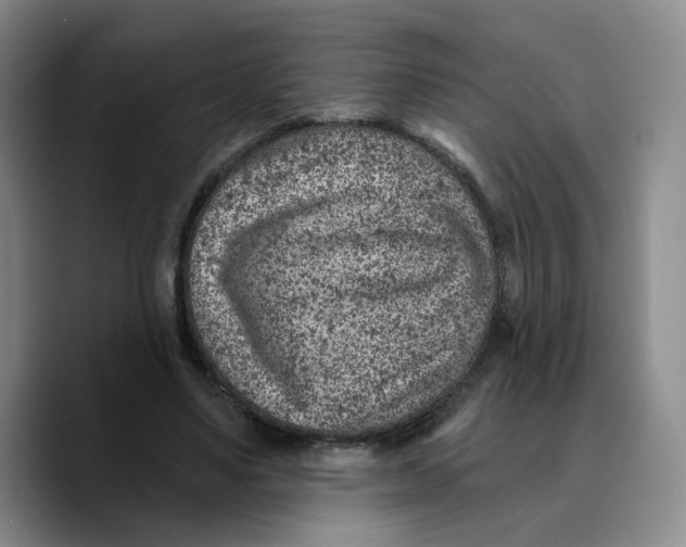X0000089680491200707201703