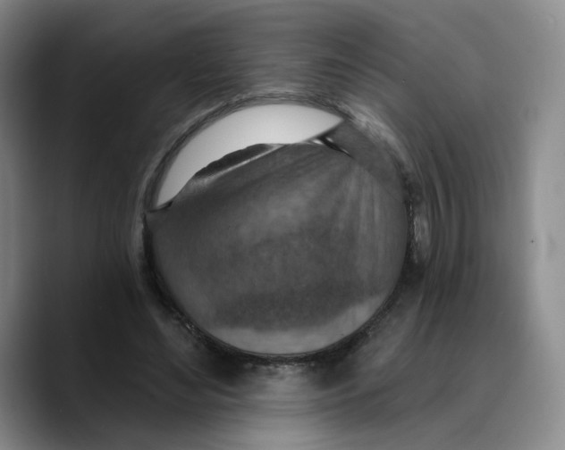 X0000089680492200707201703