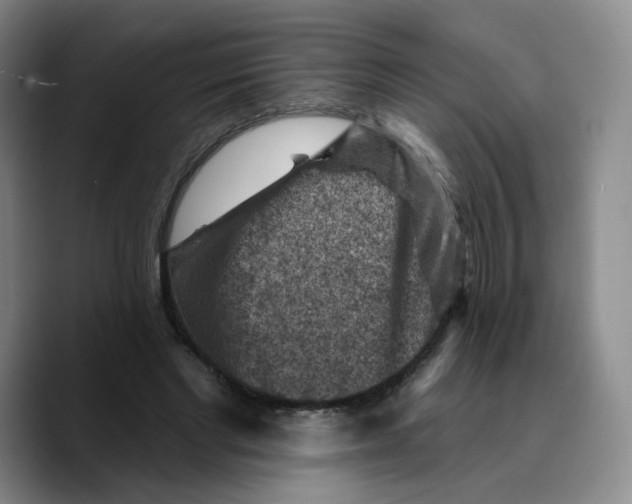 X0000089680493200707201703