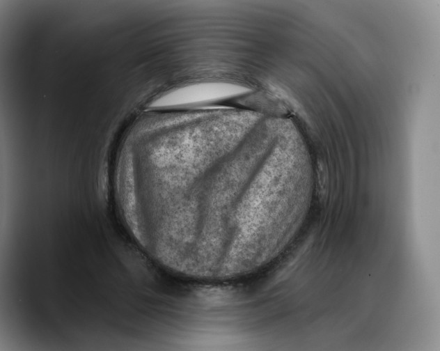 X0000089680494200707201703