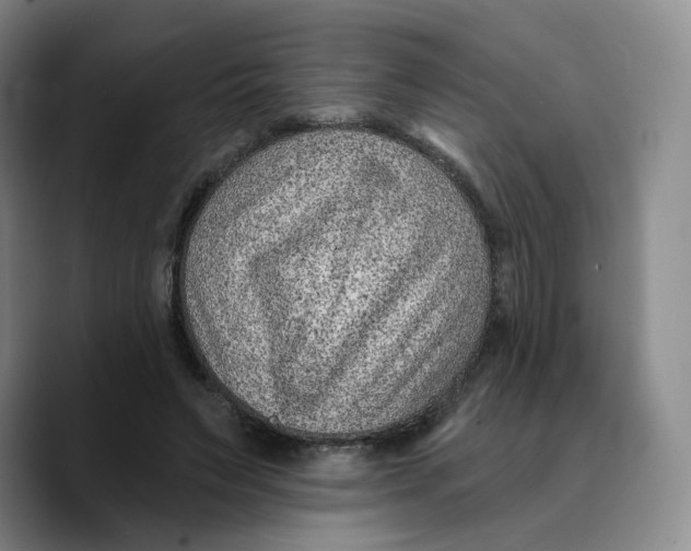 X0000089680495200707201703