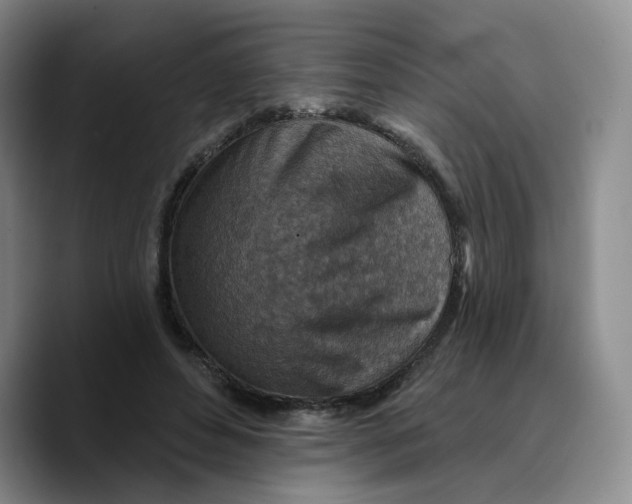 X0000089680496200707201703