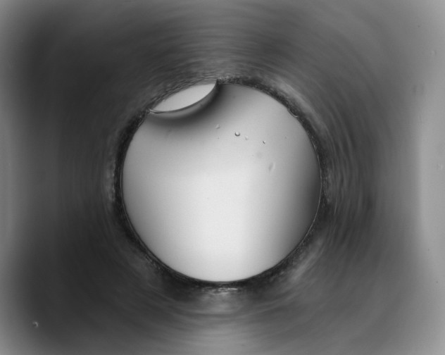 X0000089680497200707201703