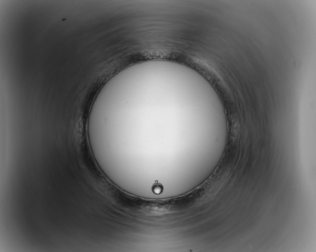 X0000089680498200707201703