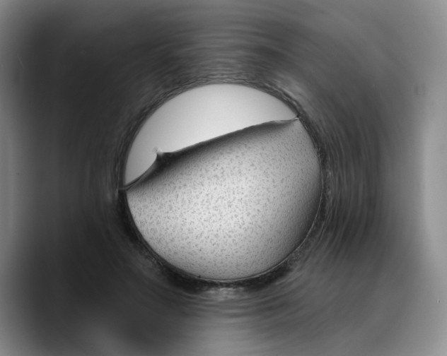 X0000089680499200707201703