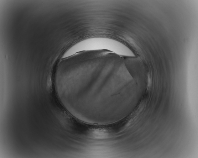 X0000089680500200707201703