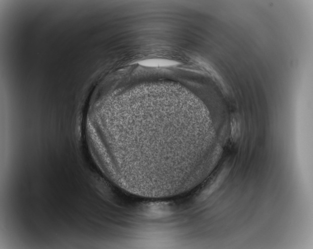 X0000089680501200707201703