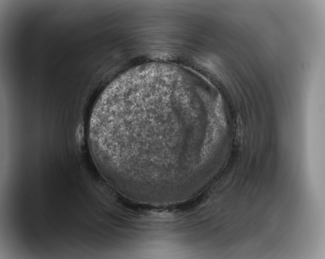 X0000089680502200707201703