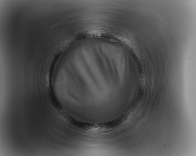 X0000089680504200707201703