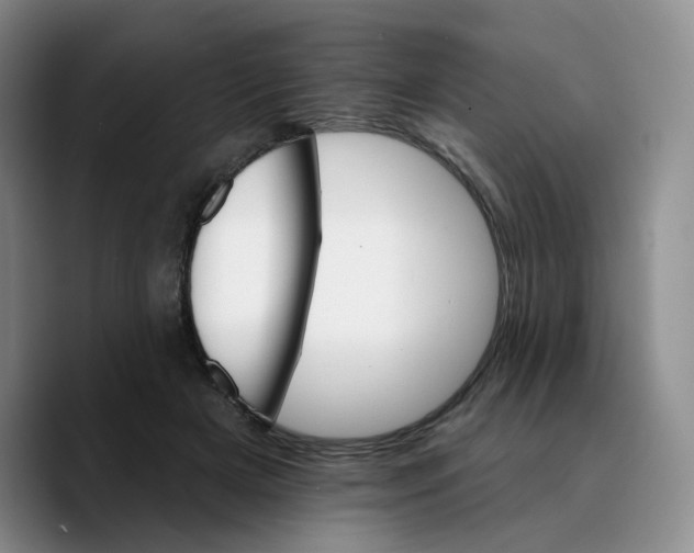 X0000089680505200707201703