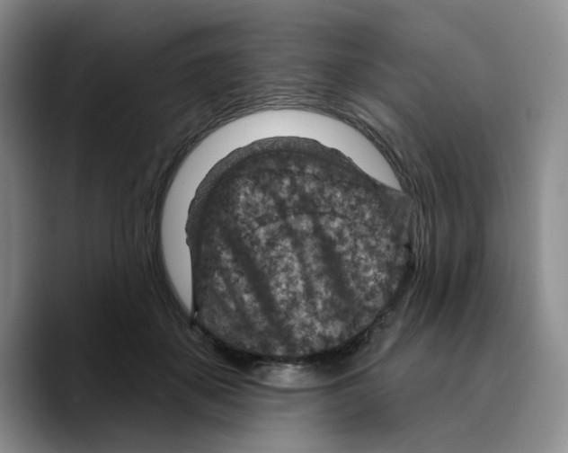 X0000089680507200707201702