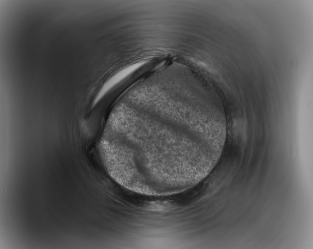 X0000089680508200707201702